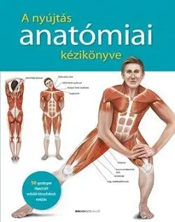 Vedd meg online A nyújtás anatómiai kézikönyve - 50 gazdagon illusztrált erősítő-tónusfokozó nyújtás