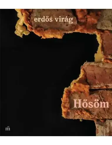 Hősöm Vedd meg online
