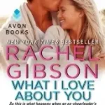 What I Love about You byGibson, Rachel; Vedd meg most