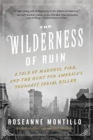 The Wilderness of Ruin byMontillo, Roseanne; Biztonságos fizetés