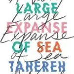 A Very Large Expanse of Sea byMafi, Tahereh; Gyors szállítás