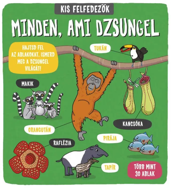 Legjobb ár Kis felfedezők - Minden, ami dzsungel