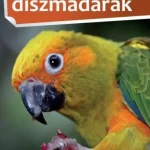 1x1 Díszmadarak Újdonság