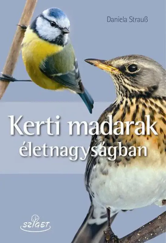 Olcsóbb Kerti madarak életnagyságban