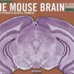 Vásárlói kedvenc Paxinos and Franklin's the Mouse Brain in Stereotaxic Coordinates byPaxinos, George; Franklin, Keith B.J.;